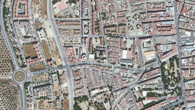 Subasta de parcela en Lucena, Córdoba — Dehesa de la Villa